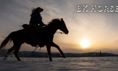 BK Horse