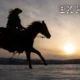 BK Horse