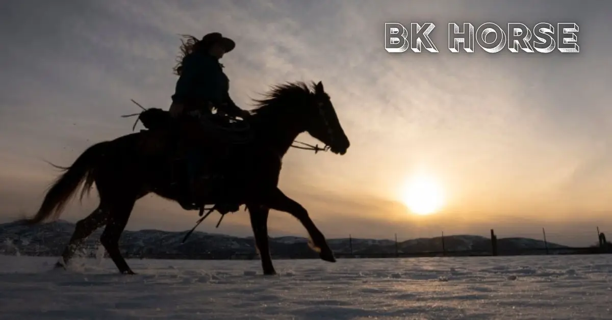 BK Horse