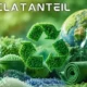 Recyclatanteil