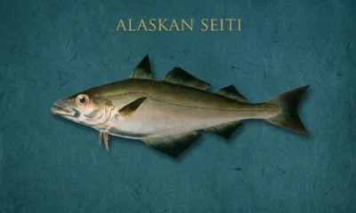 alaskan seiti