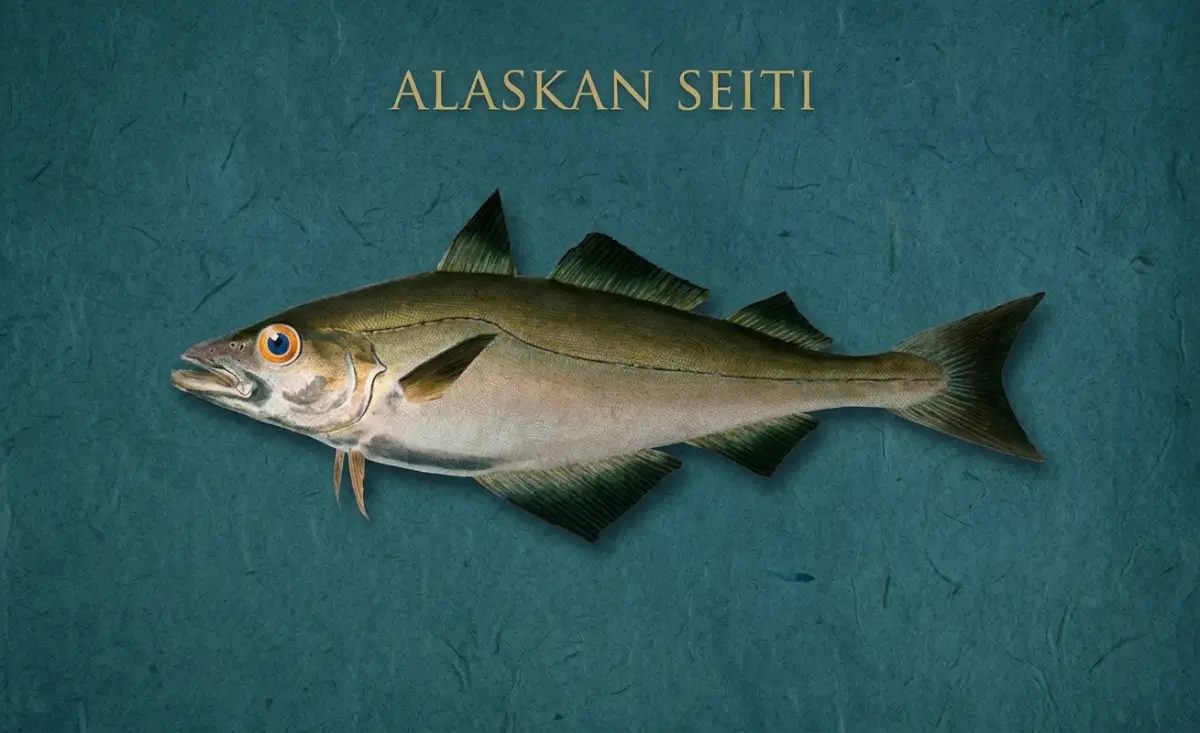alaskan seiti